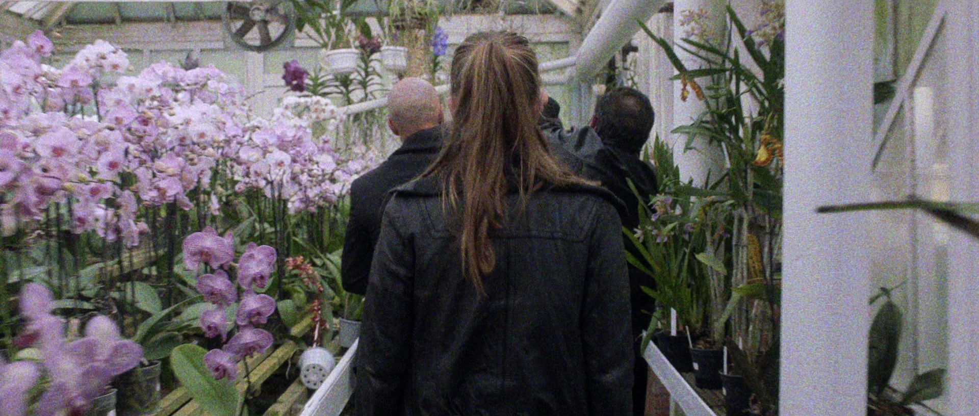 Nymphomaniac: Vol. II (2013), wide, 2.35:1 — film still