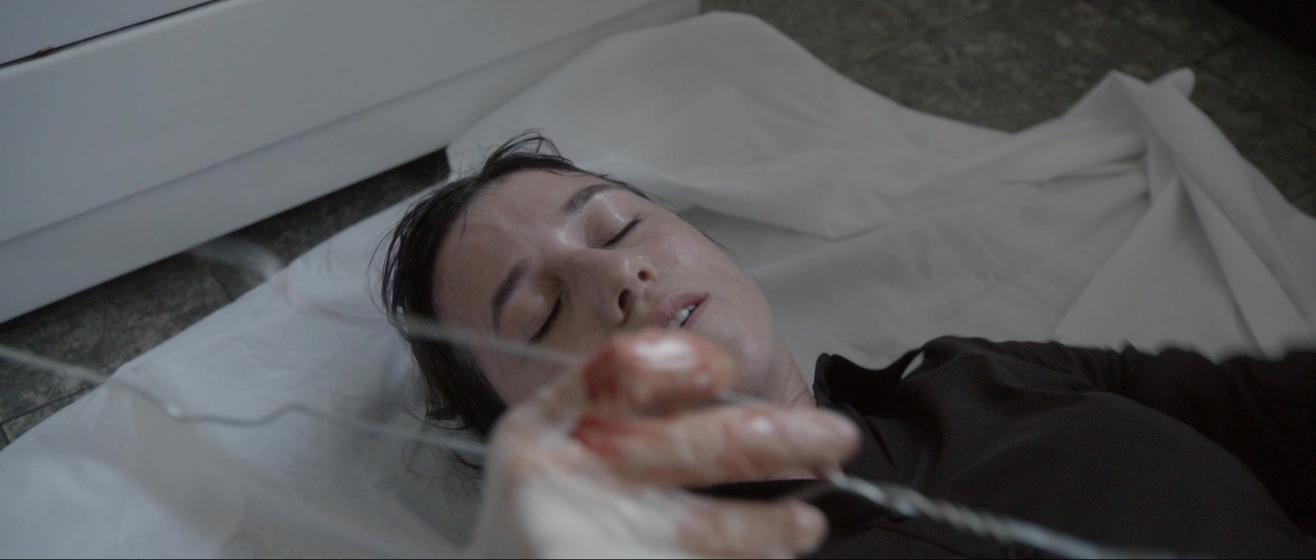 Nymphomaniac: Vol. II (2013), unknown, 2.35:1 — film still
