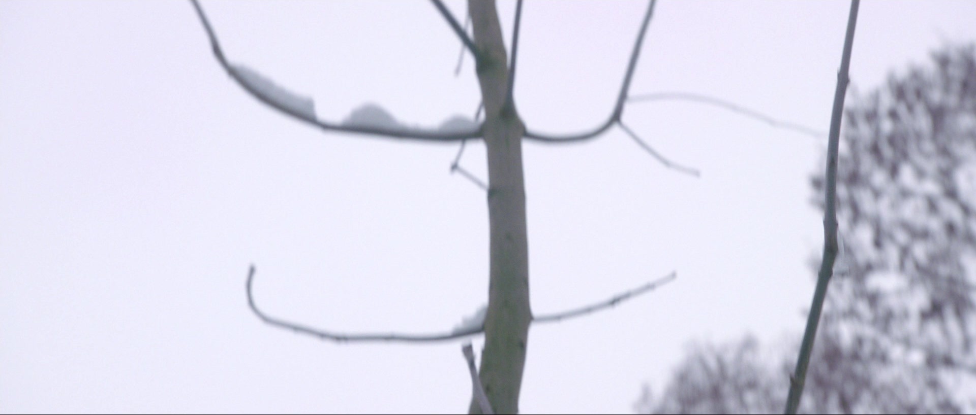 Nymphomaniac: Vol. II (2013), unknown, 2.35:1 — film still