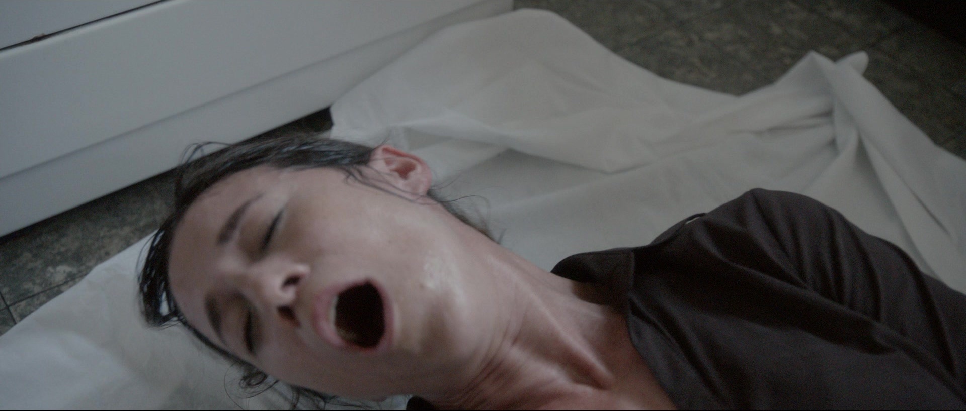 Nymphomaniac: Vol. II (2013), wide, 2.35:1 — film still