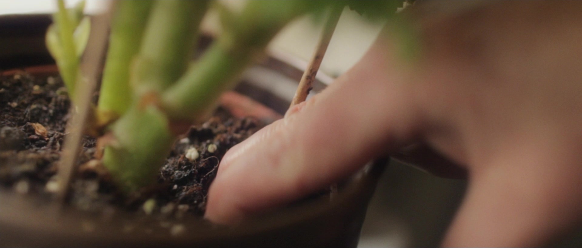 Nymphomaniac: Vol. II (2013), unknown, 2.35:1 — film still