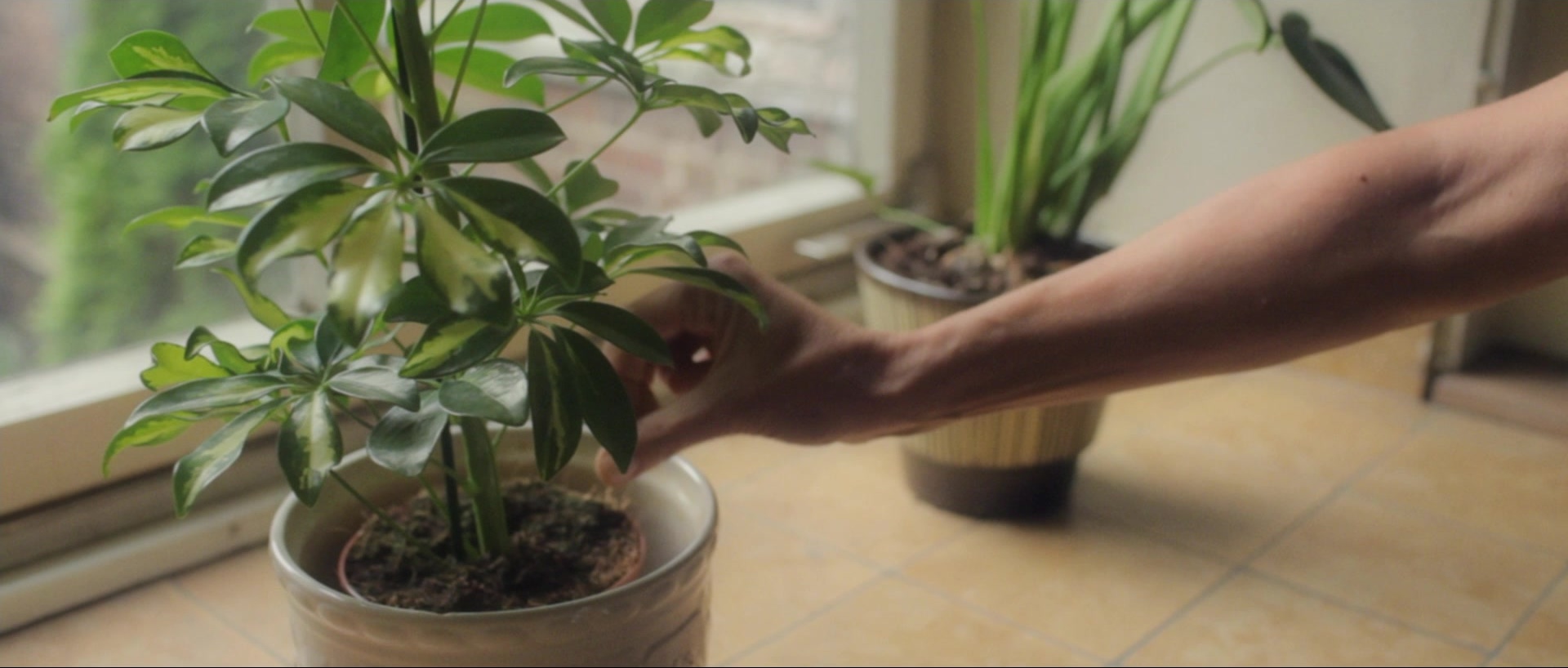 Nymphomaniac: Vol. II (2013), unknown, 2.35:1 — film still
