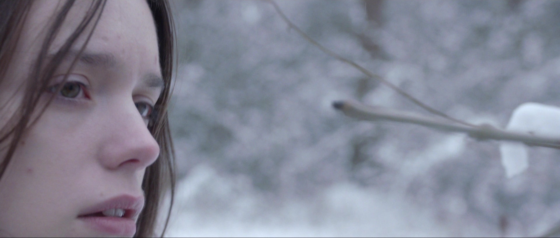 Nymphomaniac: Vol. II (2013), wide, 2.35:1 — film still