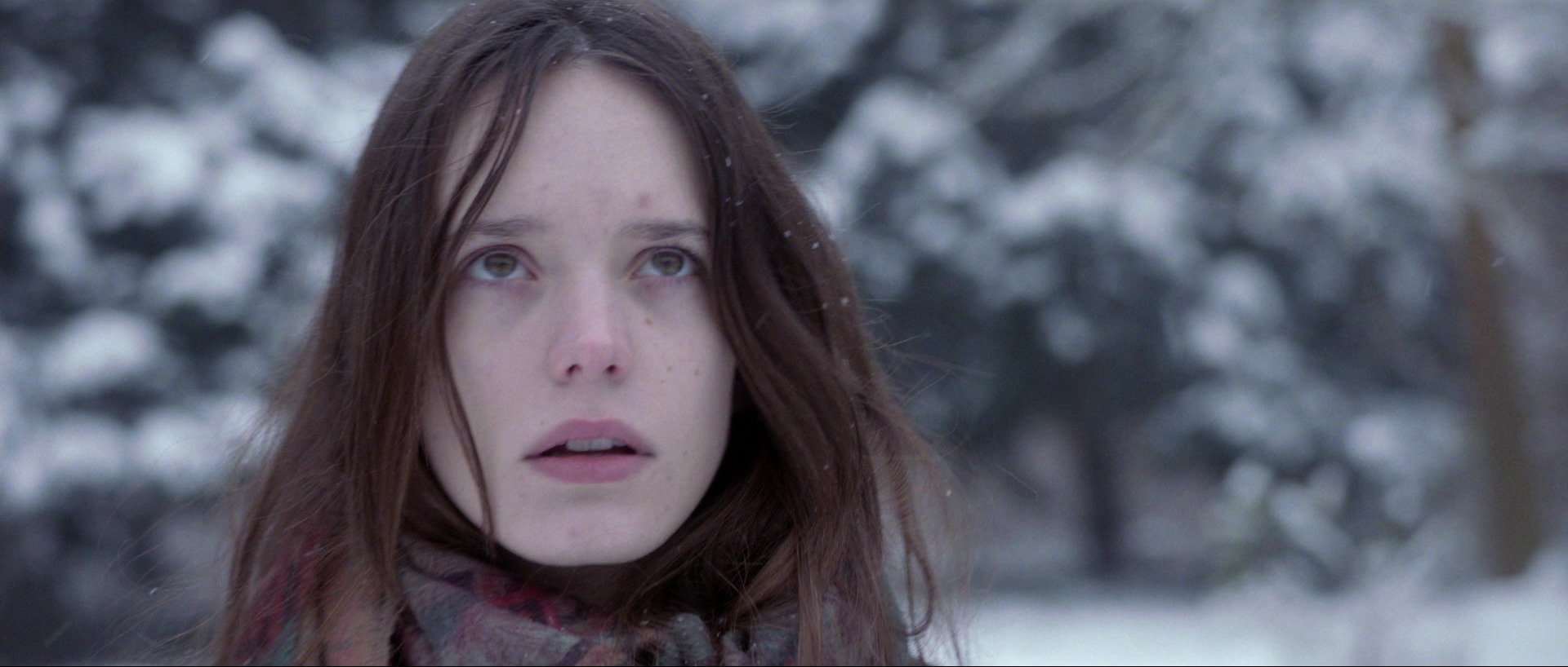 Nymphomaniac: Vol. II (2013), medium, 2.35:1 — film still