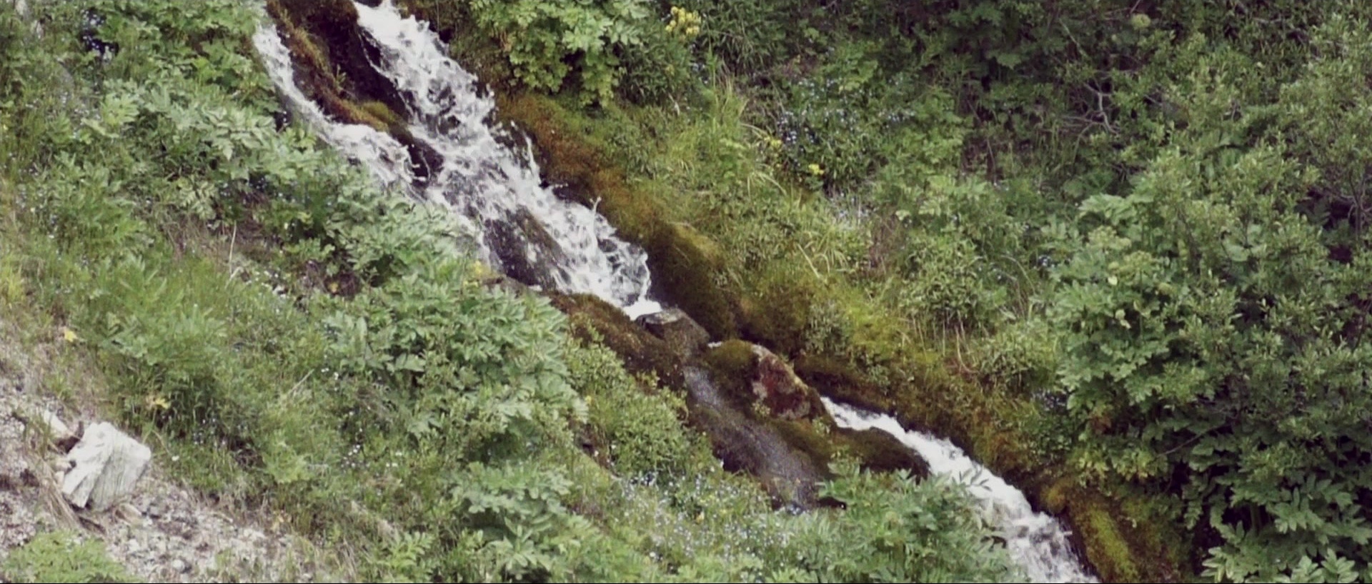 Nymphomaniac: Vol. II (2013), wide, 2.35:1 — film still