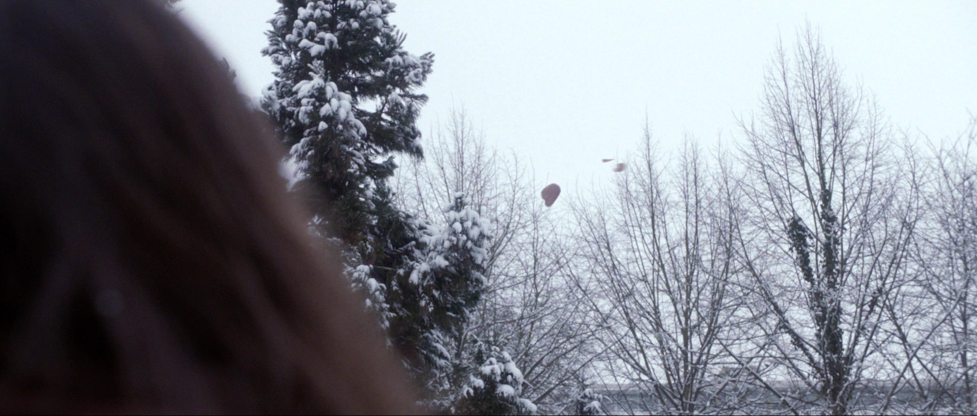 Nymphomaniac: Vol. II (2013), unknown, 2.35:1 — film still
