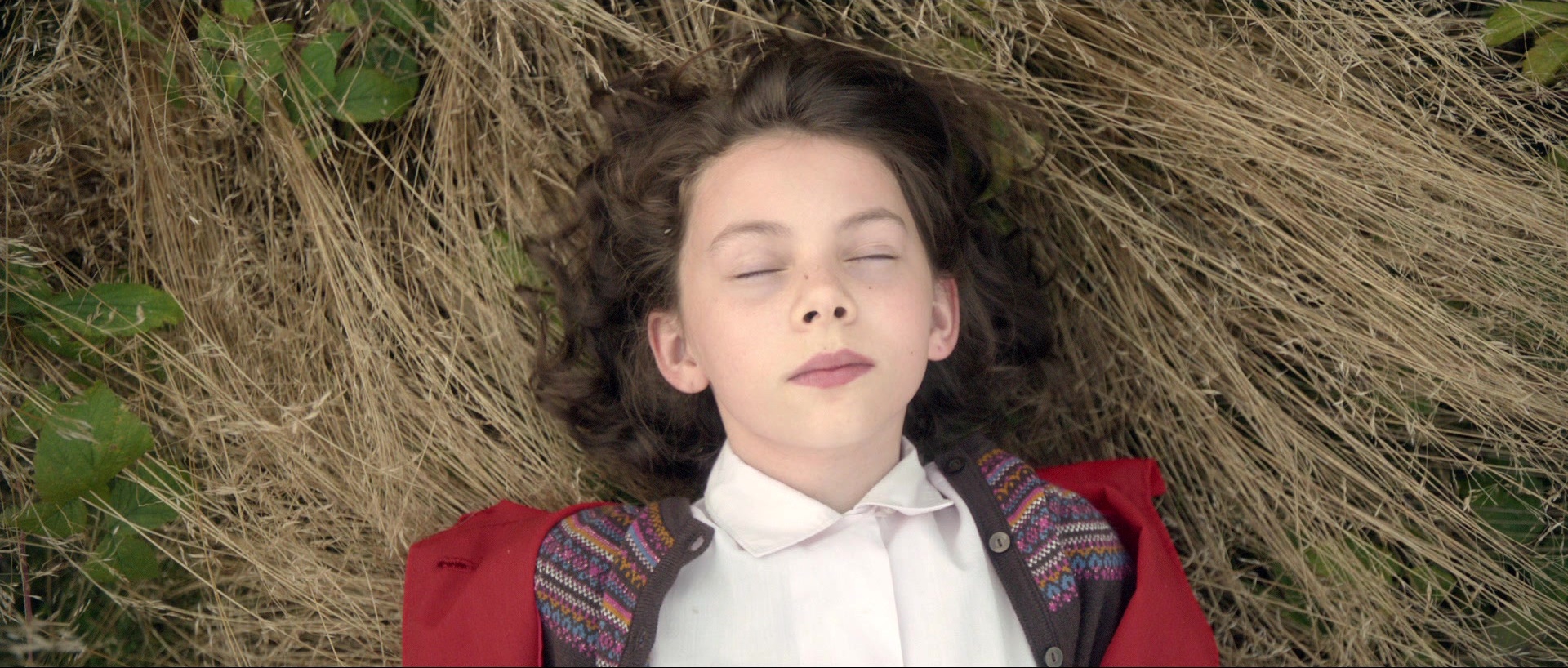 Nymphomaniac: Vol. II (2013), medium, 2.35:1 — film still