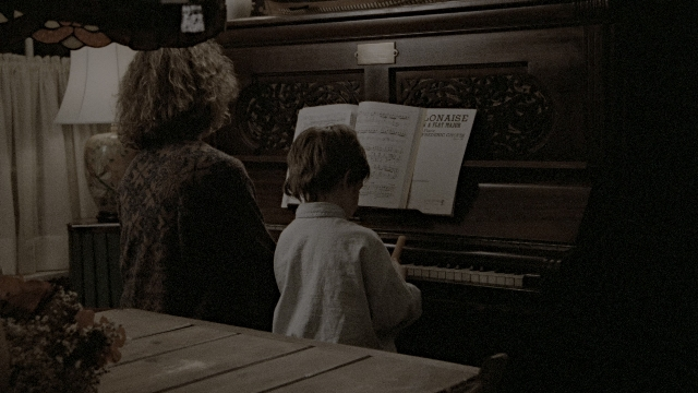seria-5611439.jpg