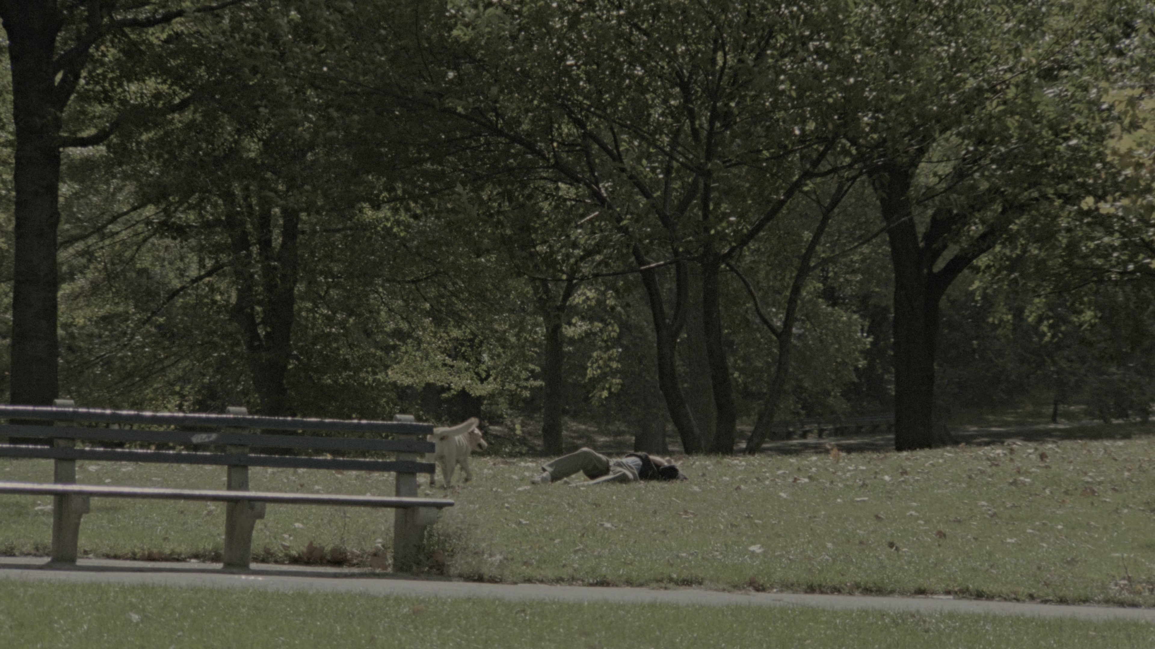 Fatal Attraction (1987), wide, 1.78:1 — film still