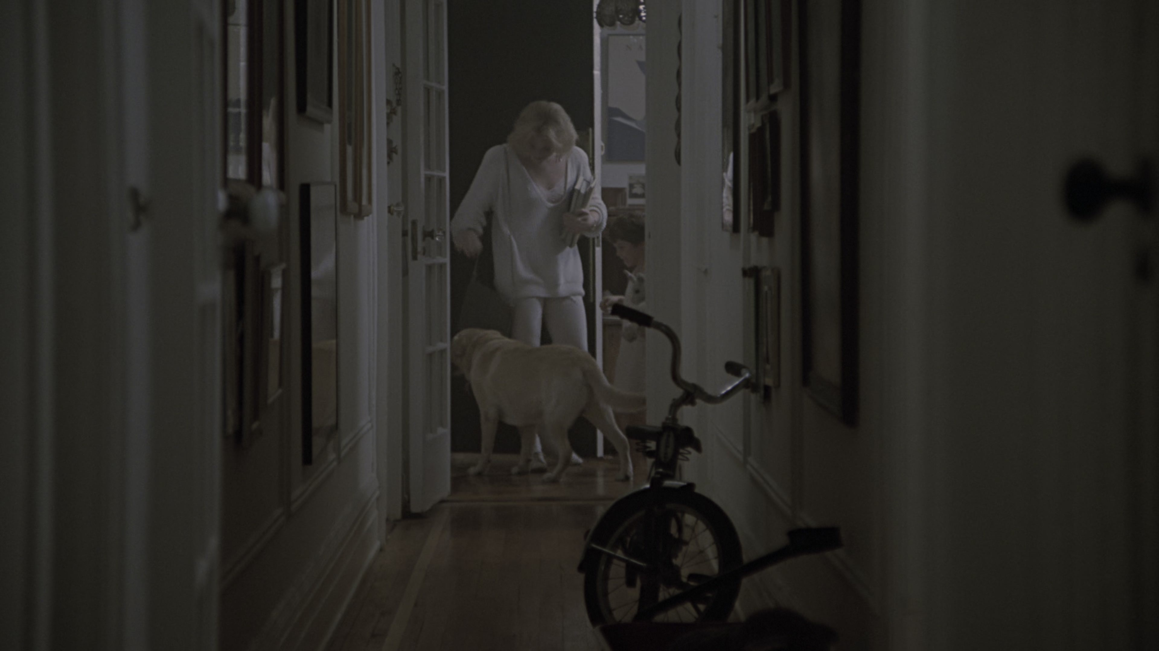 Fatal Attraction (1987), wide, 1.78:1 — film still