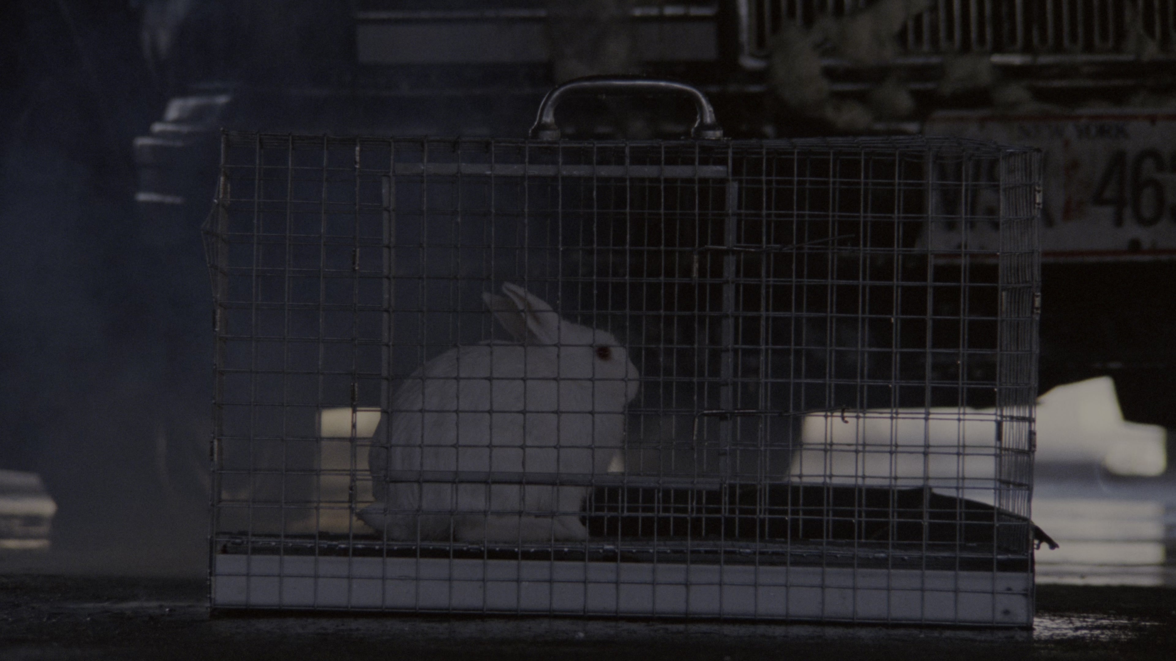 Fatal Attraction (1987), wide, 1.78:1 — film still