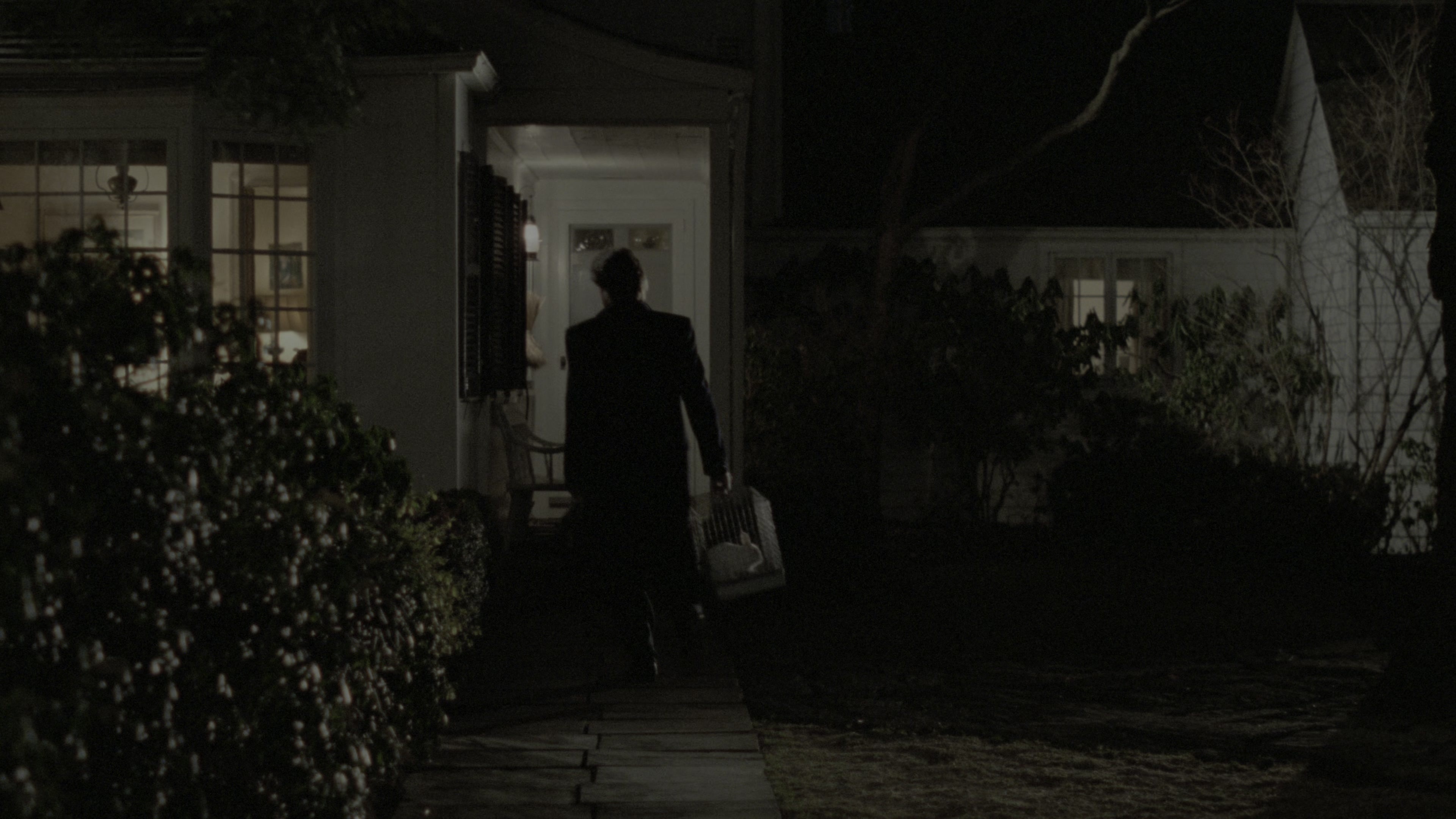 Fatal Attraction (1987), wide, 1.78:1 — film still