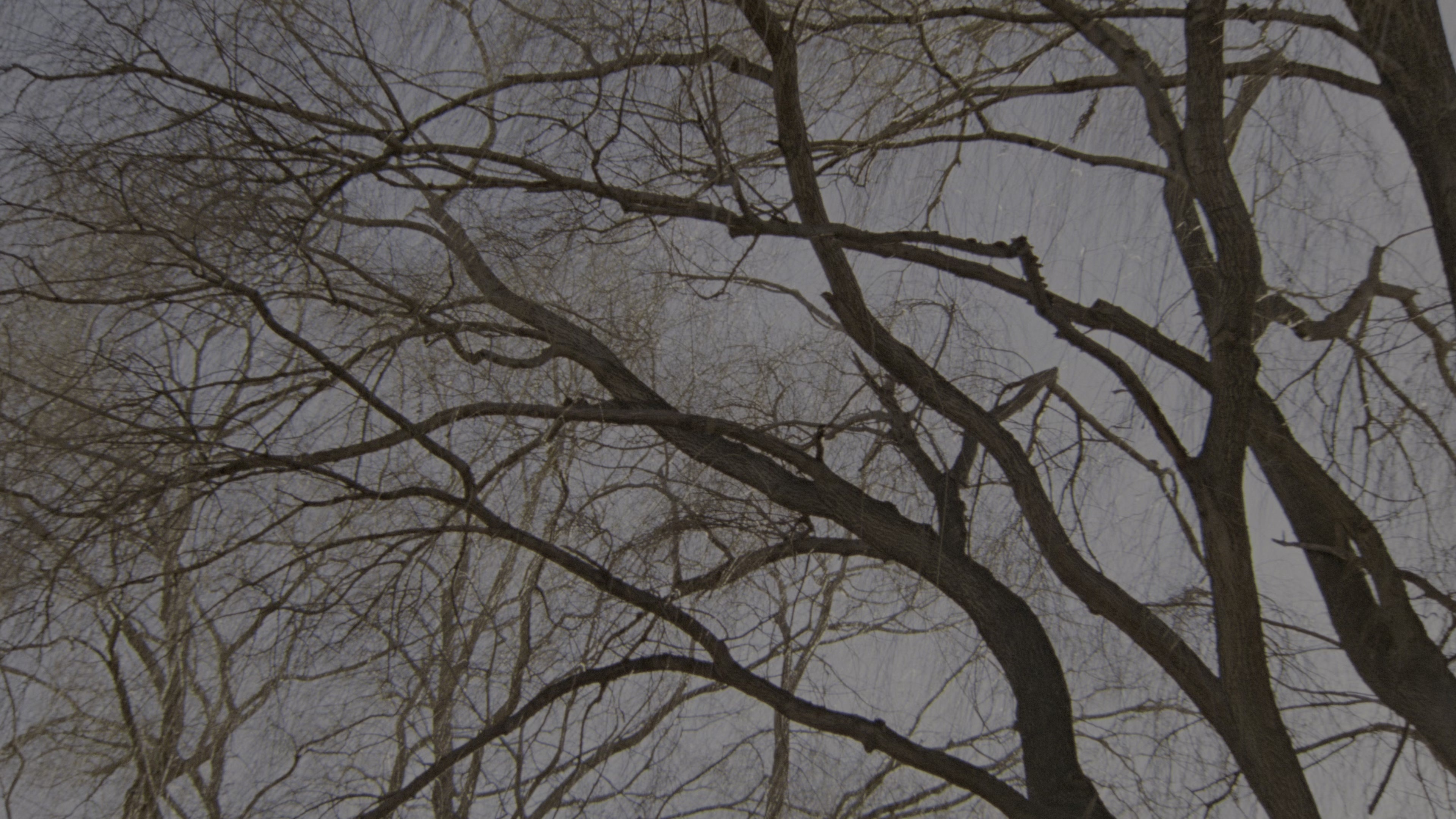 Fatal Attraction (1987), medium, 1.78:1 — film still