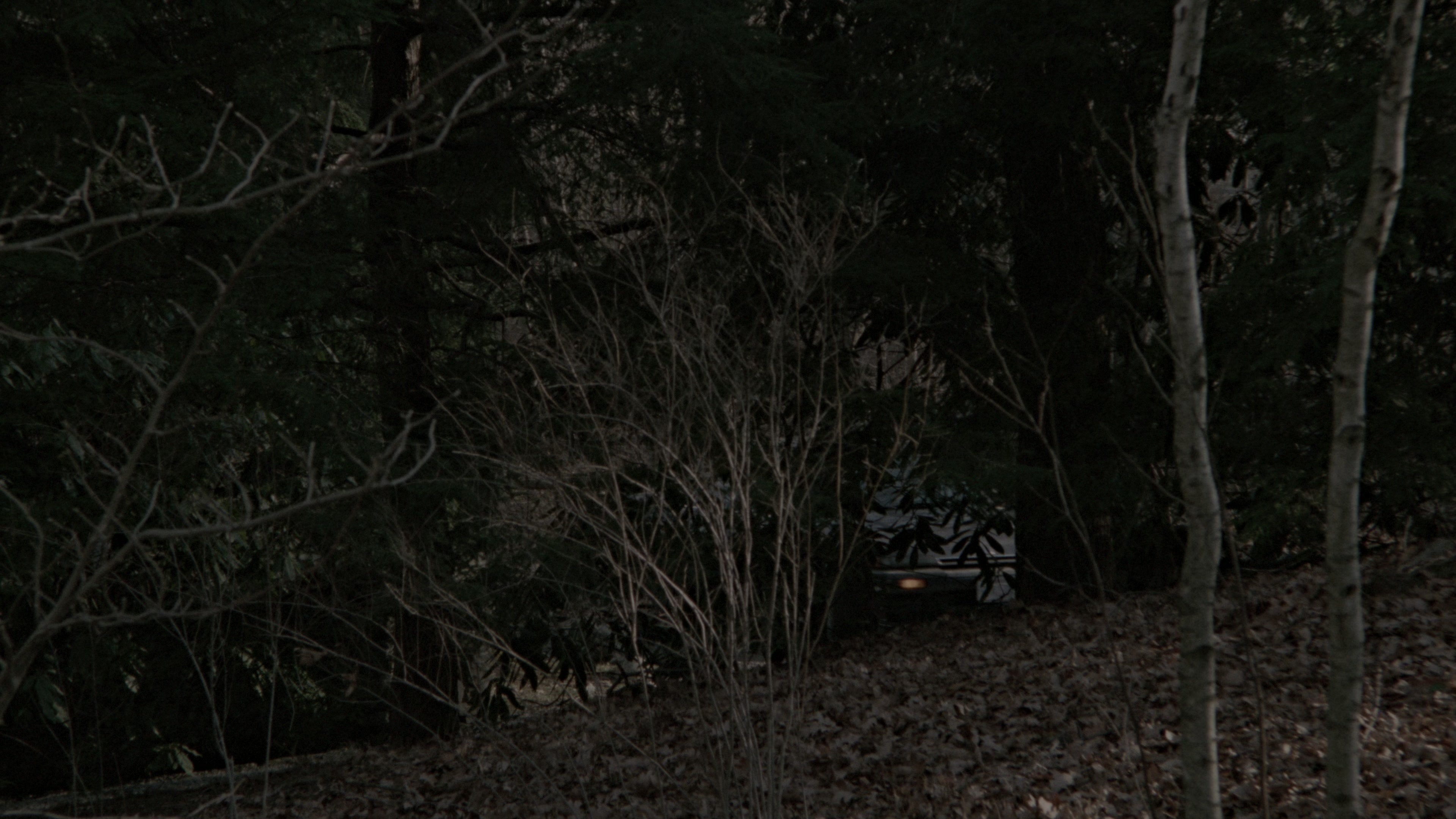 Fatal Attraction (1987), wide, 1.78:1 — film still
