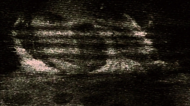 seria-4364360.jpg