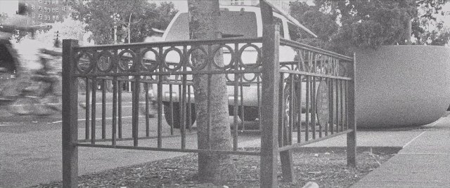 Wide shot frame from The Forty-Year-Old Version — walking, street, bird