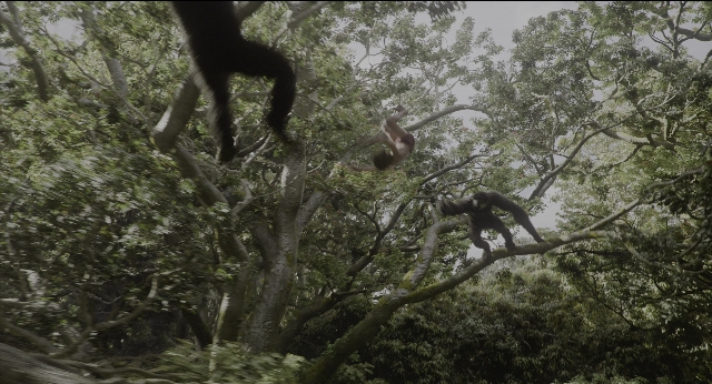 Wide shot frame from The Jungle Book — standing, monkey, forest