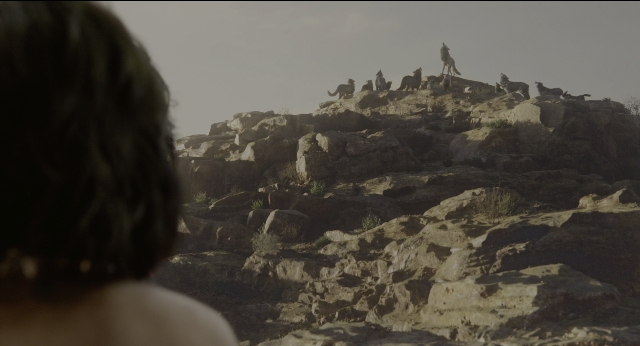 Wide shot frame from The Jungle Book — animal, shirt, hair