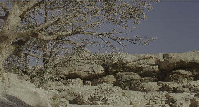 Wide shot frame from The Jungle Book — action, show, subject
