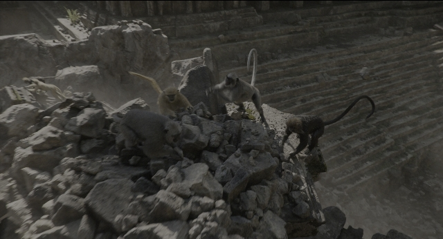 Wide shot frame from The Jungle Book — standing, walking, monkey