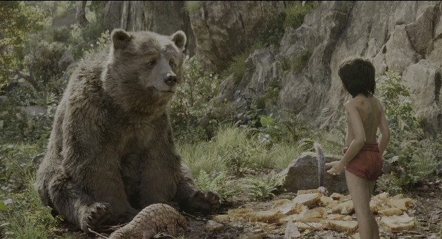 seria-340965.jpg