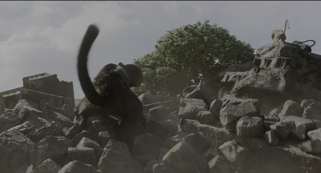 Wide shot frame from The Jungle Book — standing, monkey, bird