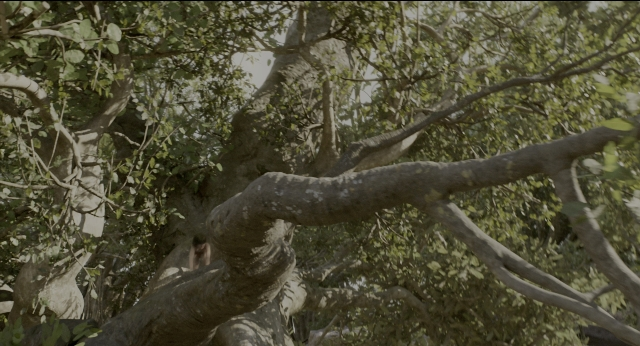 Wide shot frame from The Jungle Book — monkey