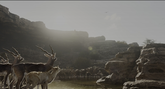 Wide shot frame from The Jungle Book — standing, water, bird