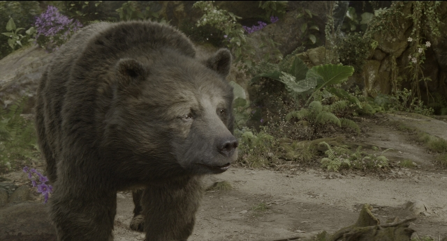 Wide shot frame from The Jungle Book — walking, bird, bear