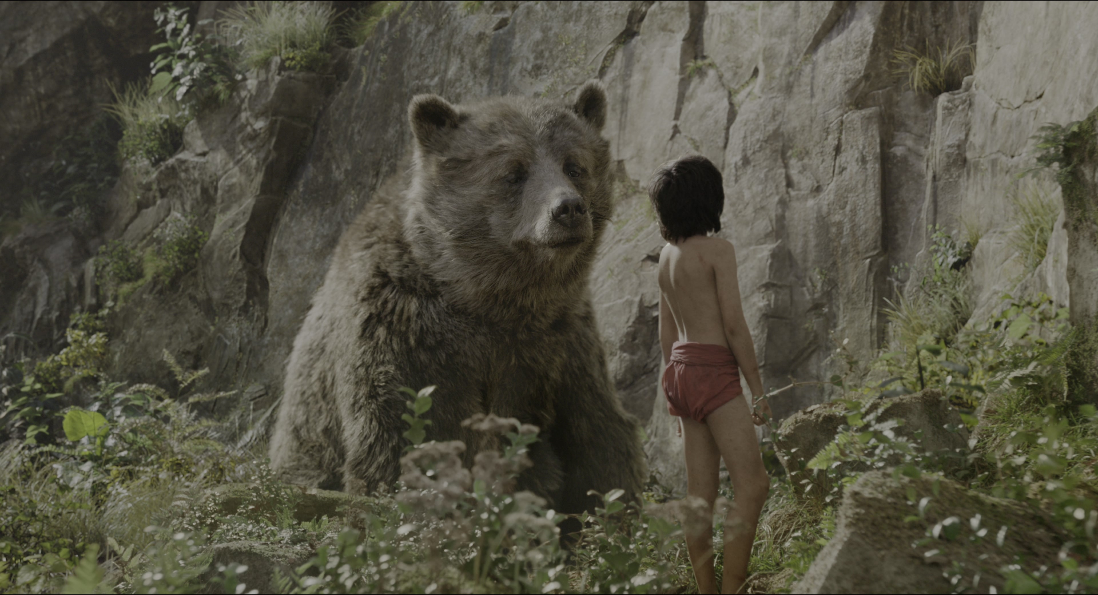 The Jungle Book (2016), wide, 1.85:1 — film still