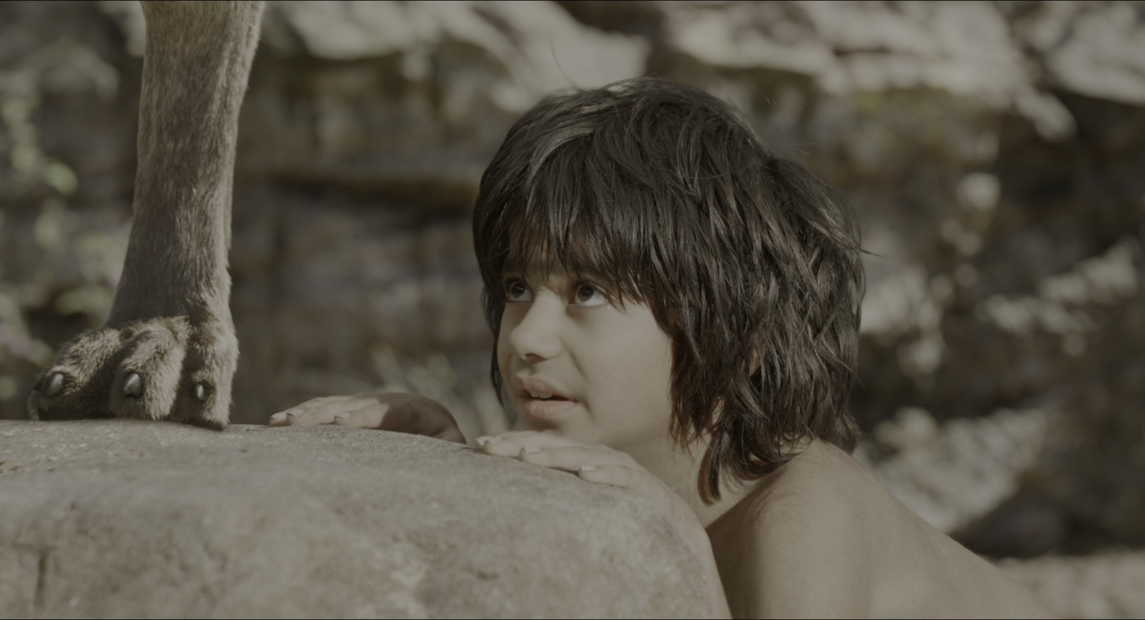 The Jungle Book (2016), wide, 1.85:1 — film still