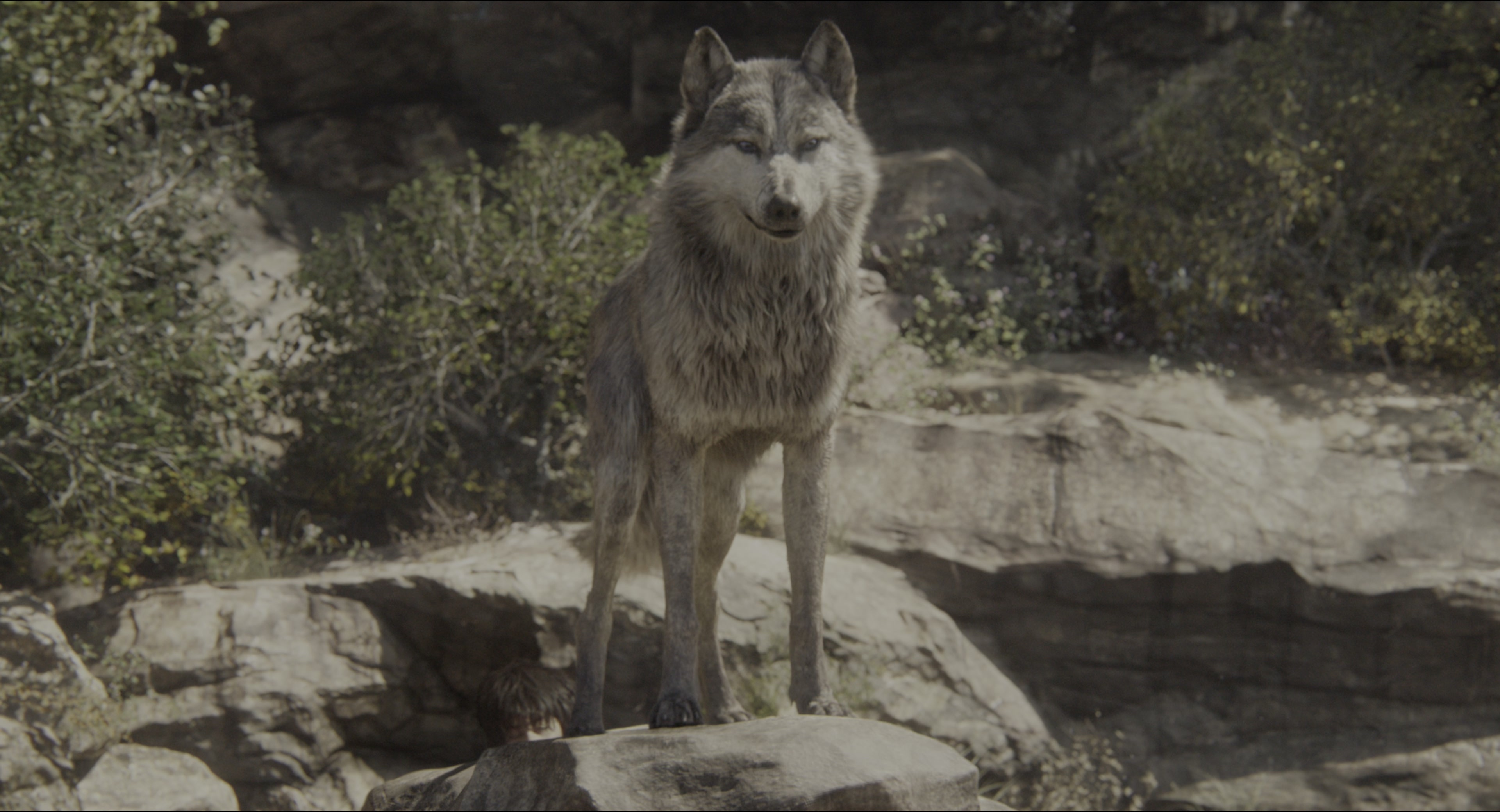 The Jungle Book (2016), wide, 1.85:1 — film still