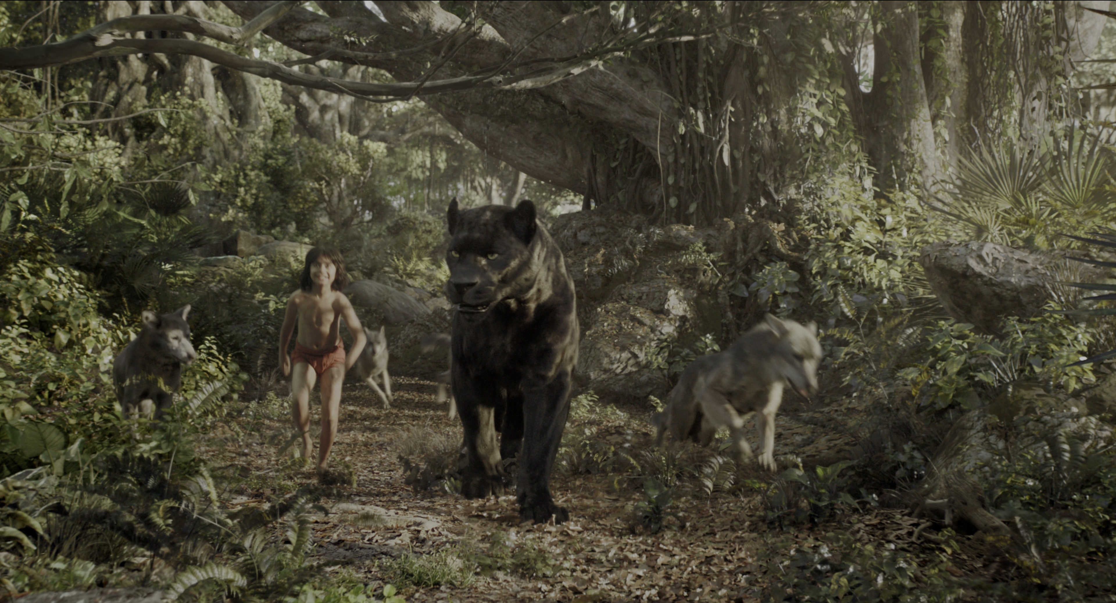 The Jungle Book (2016), wide, 1.85:1 — film still