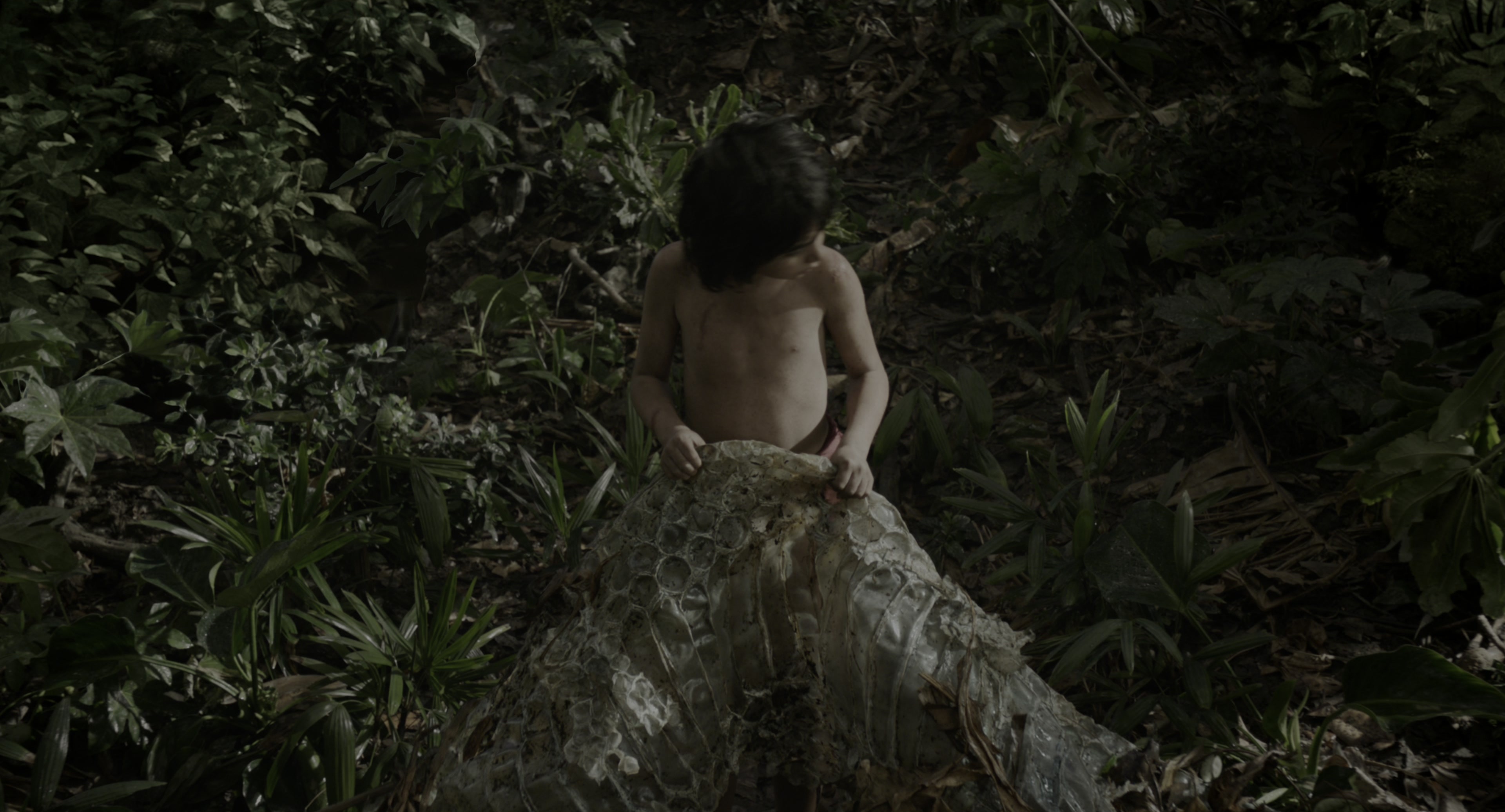 The Jungle Book (2016), wide, 1.85:1 — film still