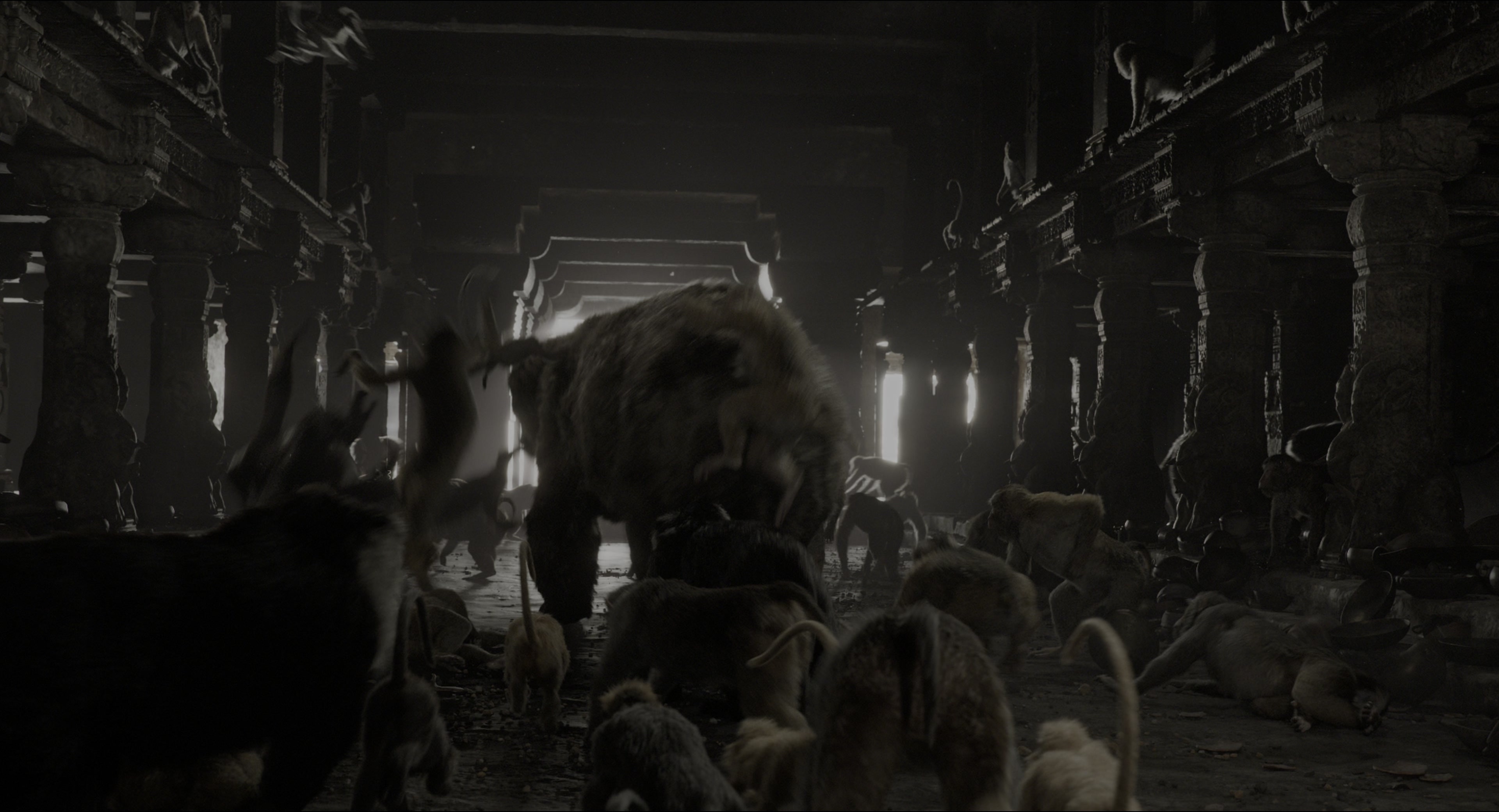 The Jungle Book (2016), wide, 1.85:1 — film still