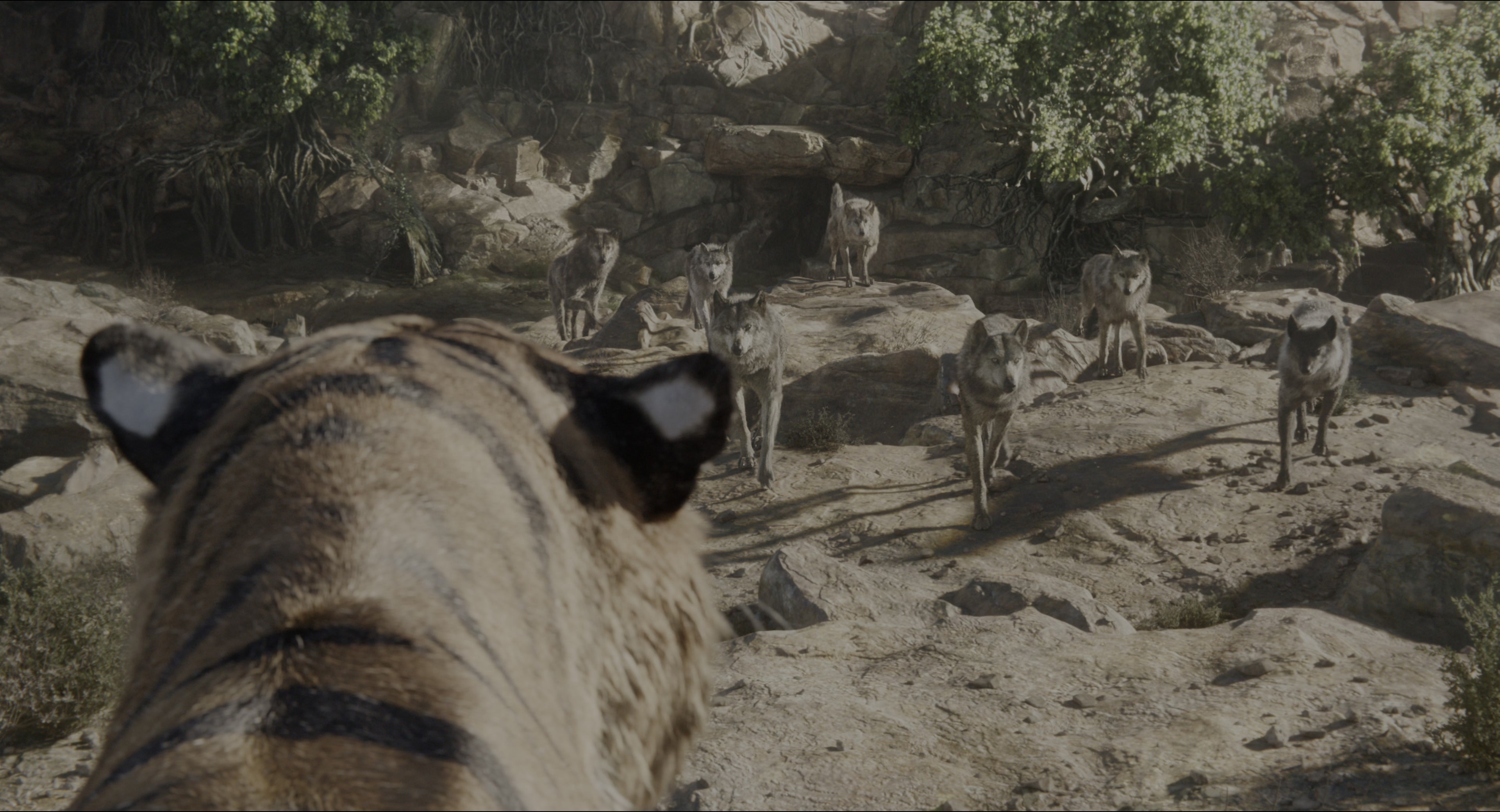 The Jungle Book (2016), wide, 1.85:1 — film still