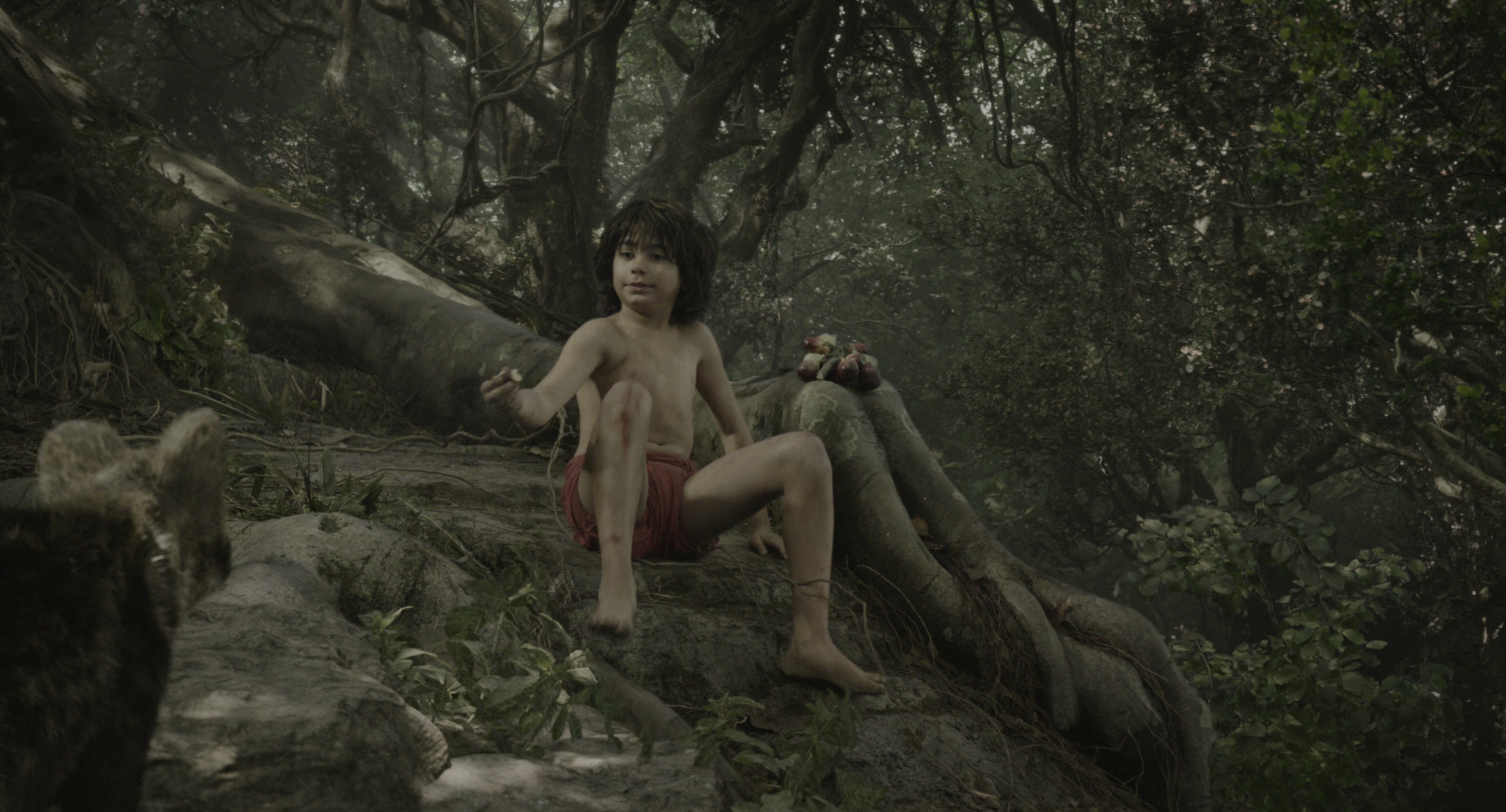 The Jungle Book (2016), wide, 1.85:1 — film still