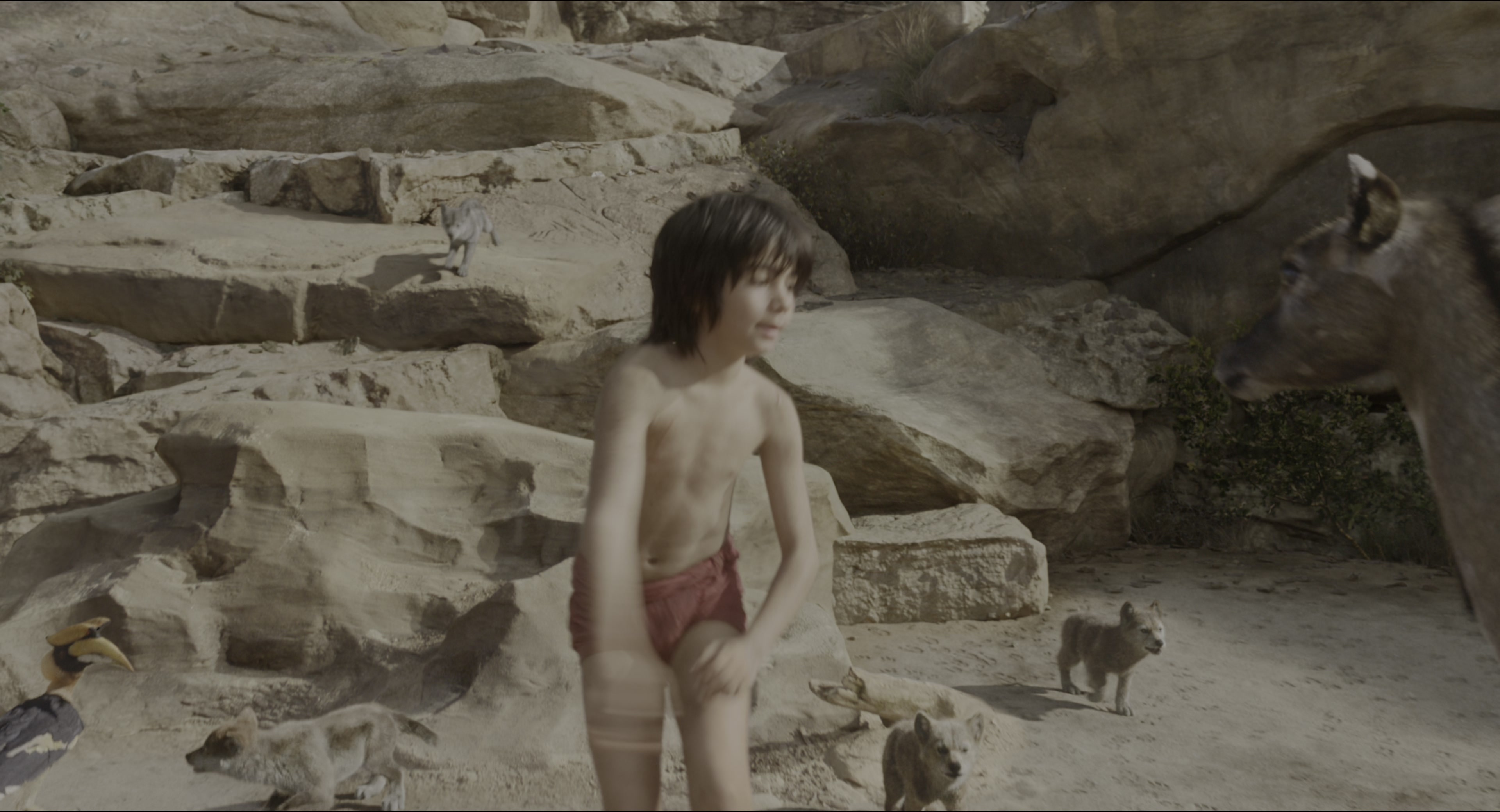 The Jungle Book (2016), wide, 1.85:1 — film still