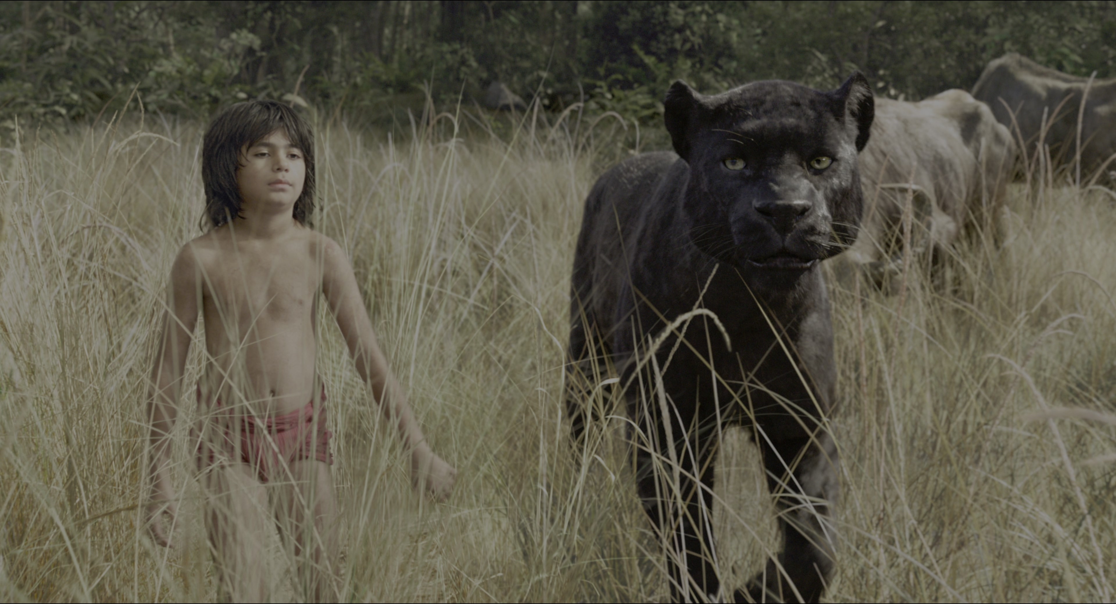 The Jungle Book (2016), wide, 1.85:1 — film still