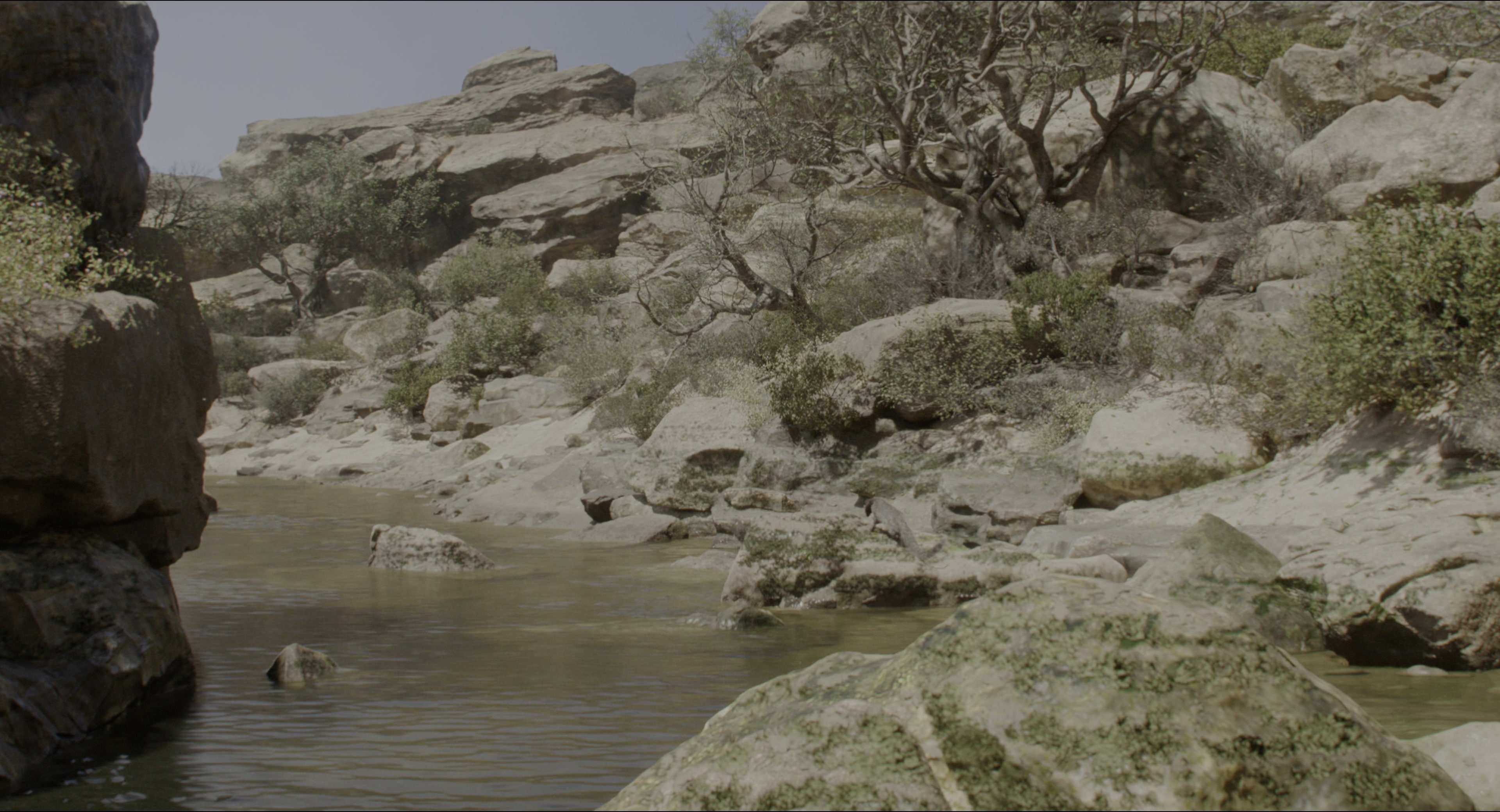 The Jungle Book (2016), wide, 1.85:1 — film still