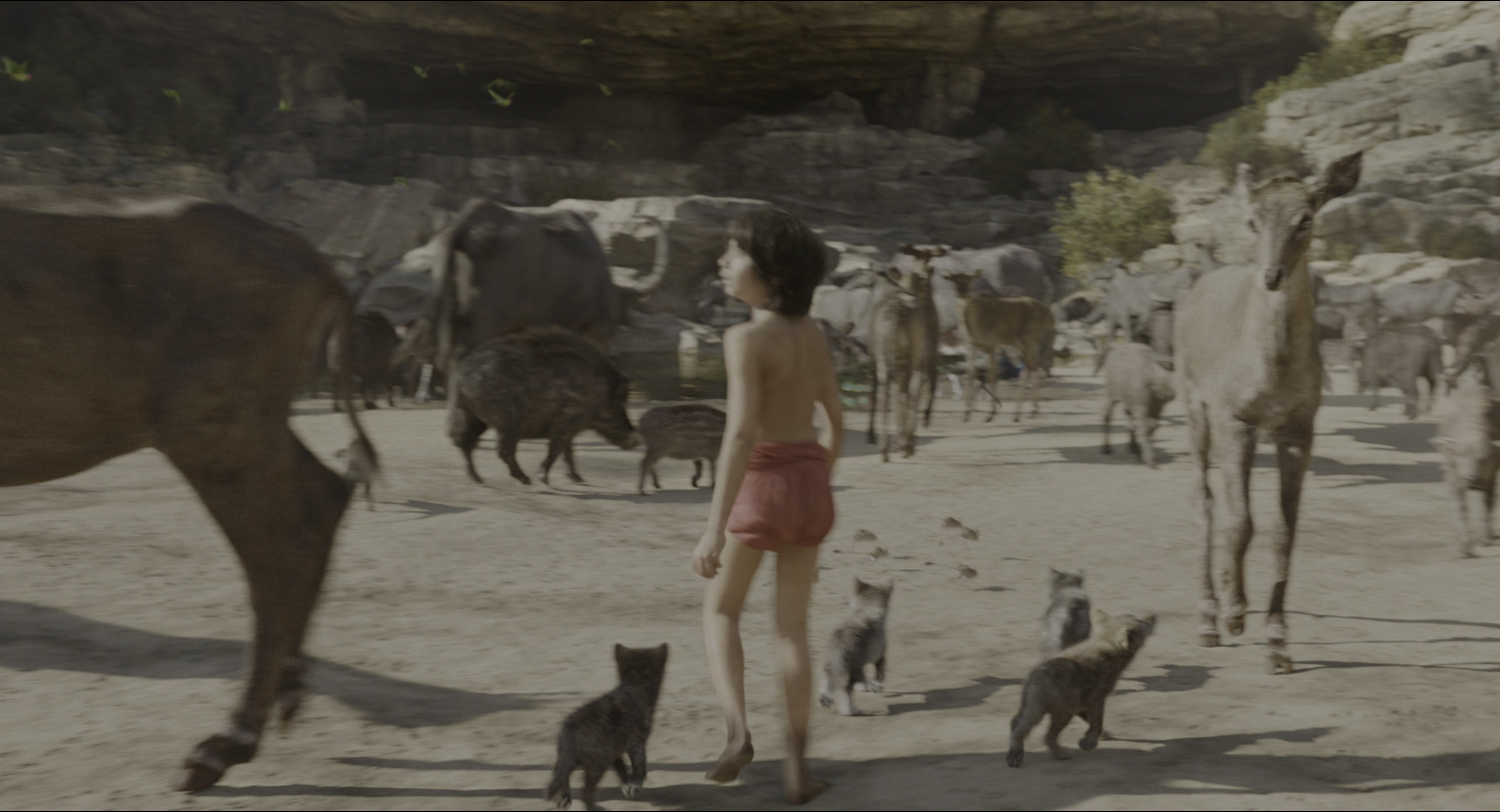 The Jungle Book (2016), wide, 1.85:1 — film still
