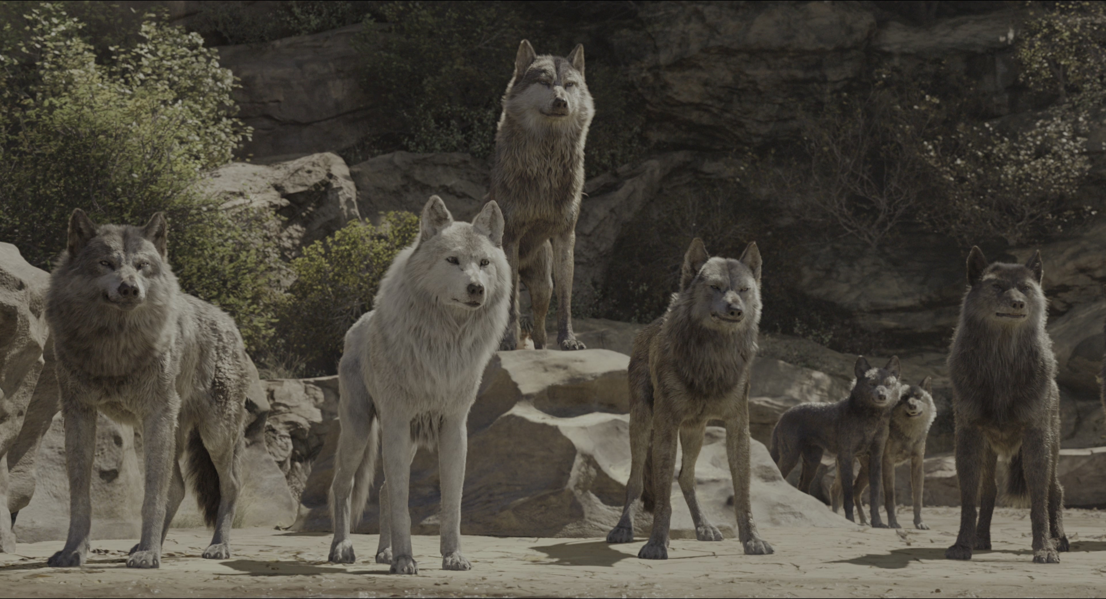 The Jungle Book (2016), wide, 1.85:1 — film still
