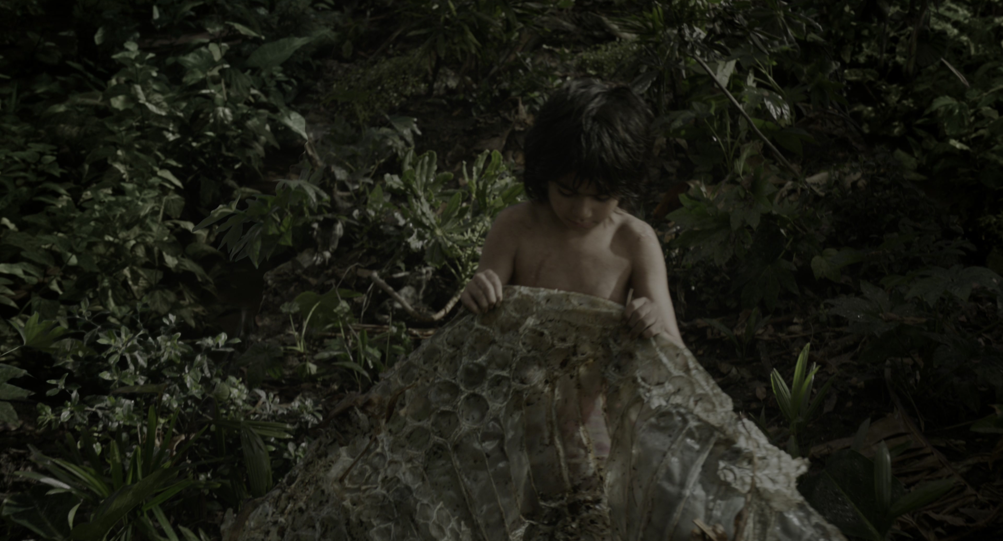 The Jungle Book (2016), wide, 1.85:1 — film still