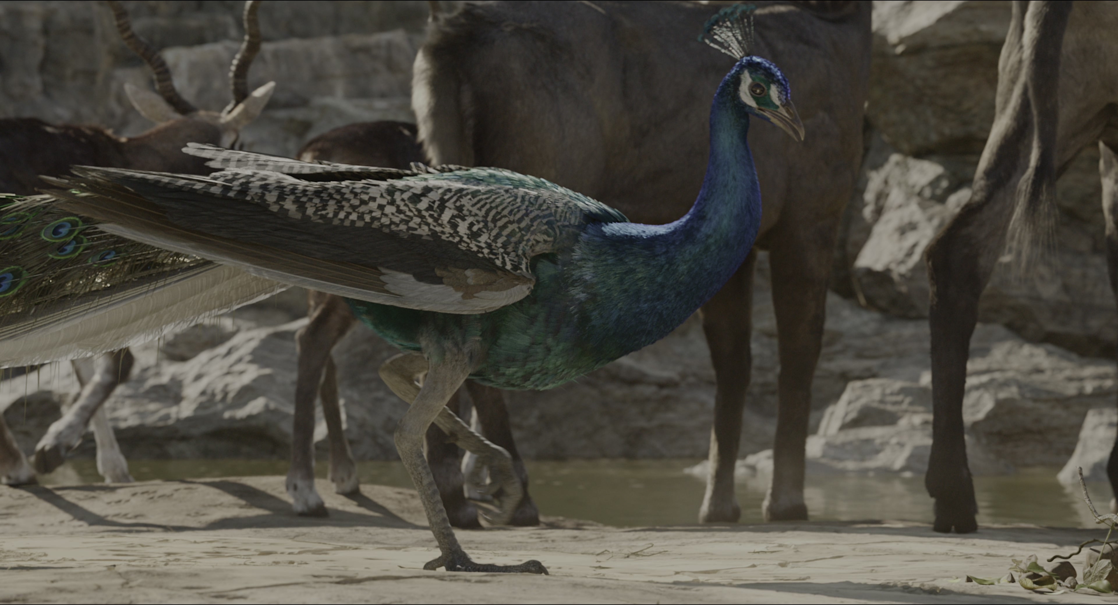 The Jungle Book (2016), wide, 1.85:1 — film still