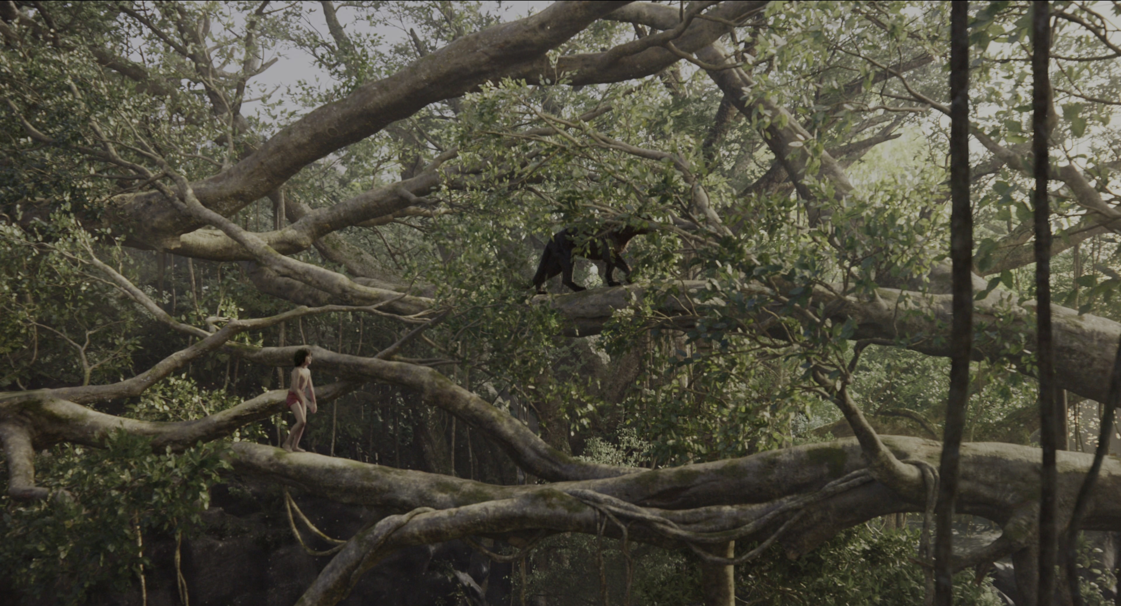 The Jungle Book (2016), wide, 1.85:1 — film still
