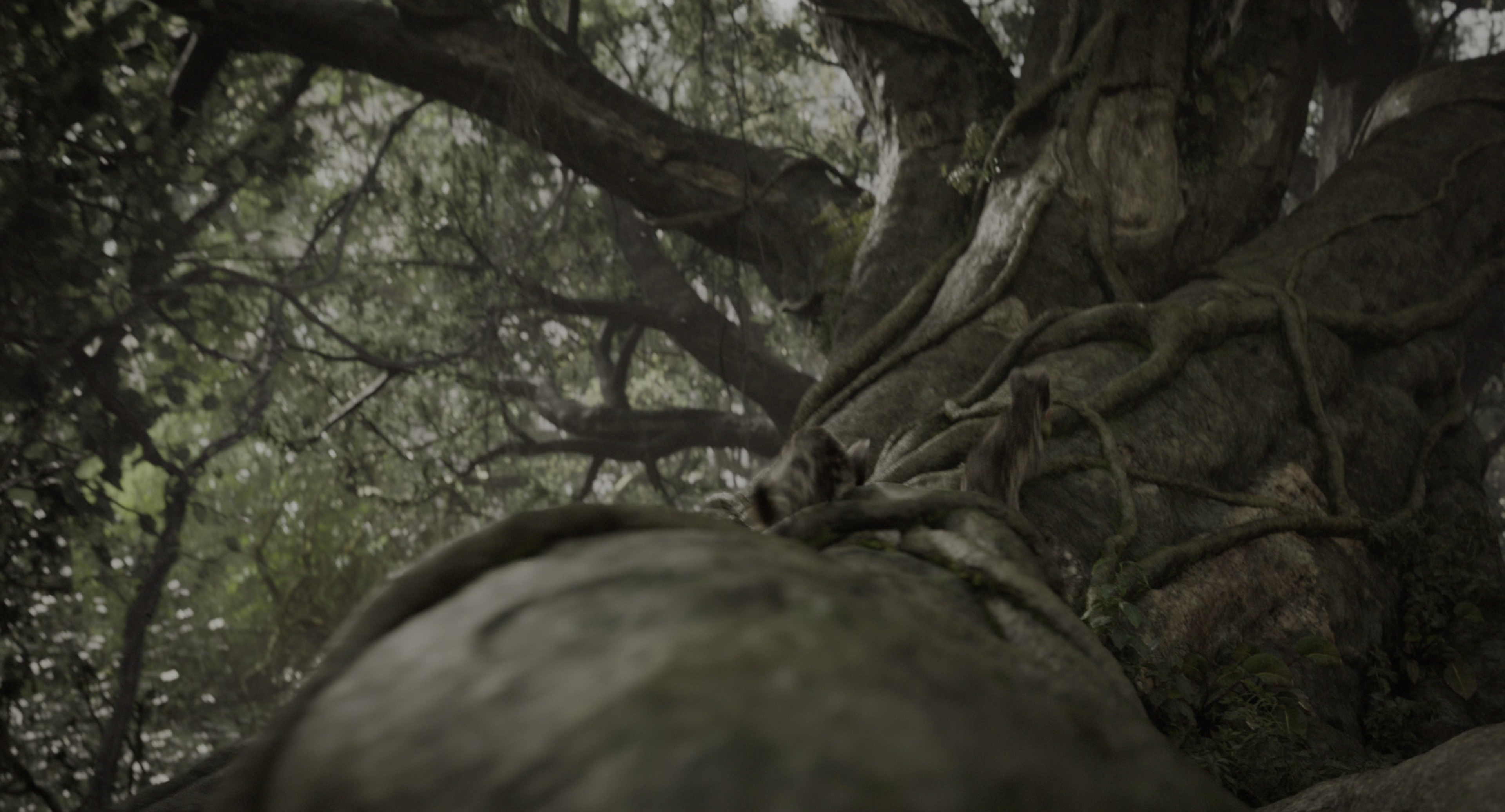 The Jungle Book (2016), wide, 1.85:1 — film still