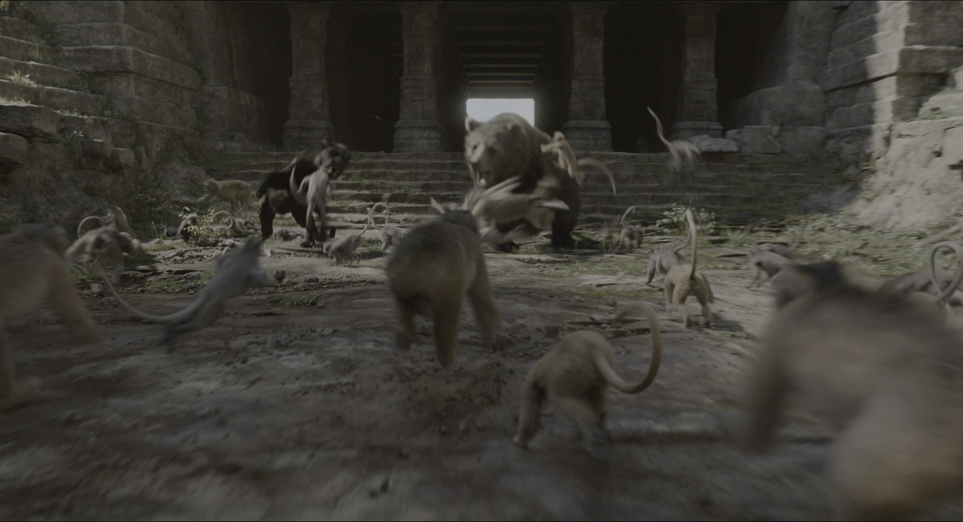 The Jungle Book (2016), wide, 1.85:1 — film still