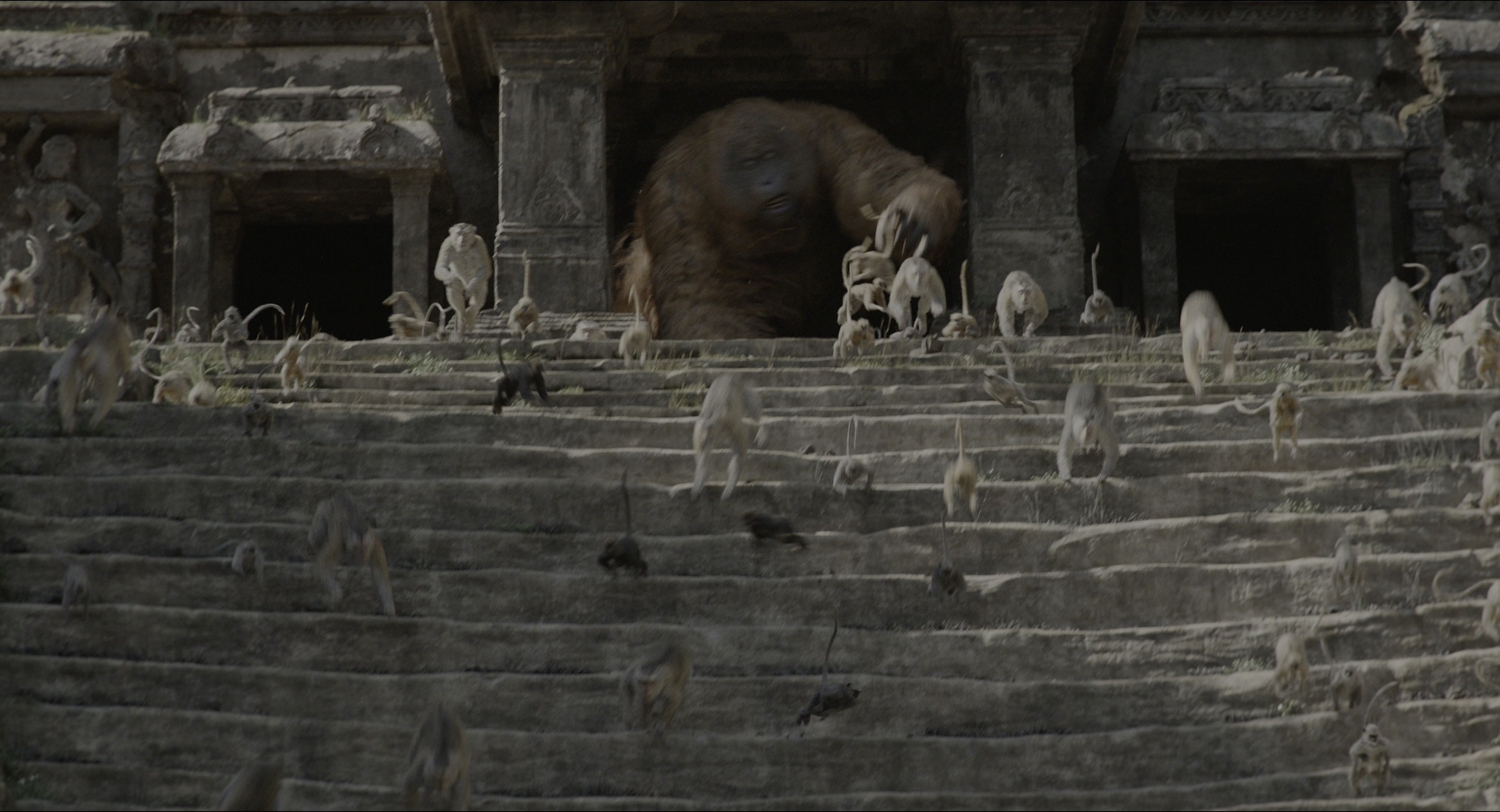 The Jungle Book (2016), wide, 1.85:1 — film still