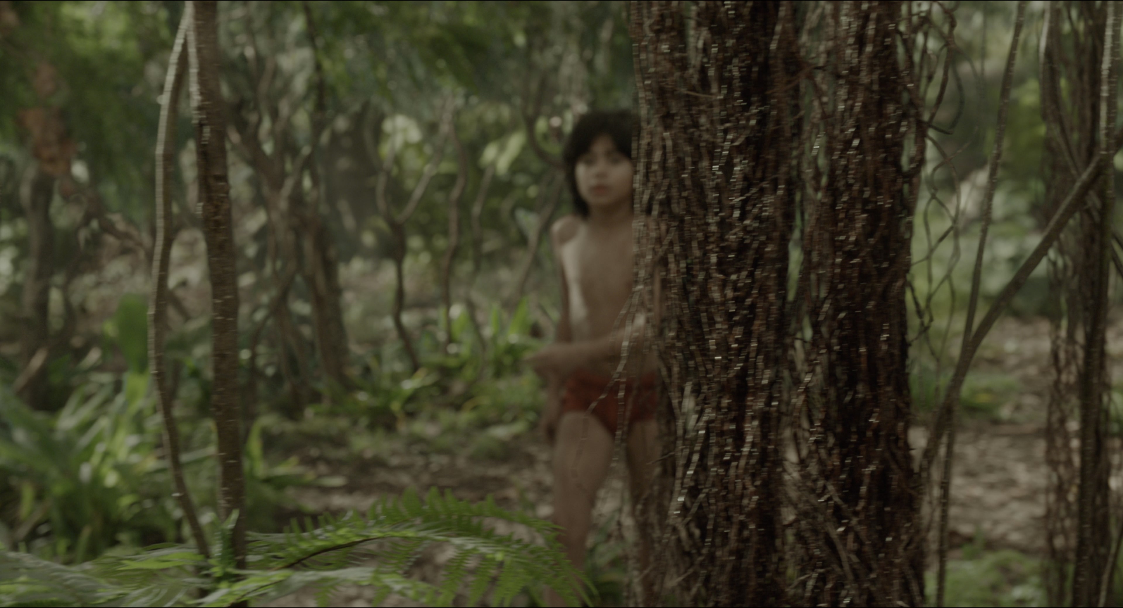 The Jungle Book (2016), wide, 1.85:1 — film still