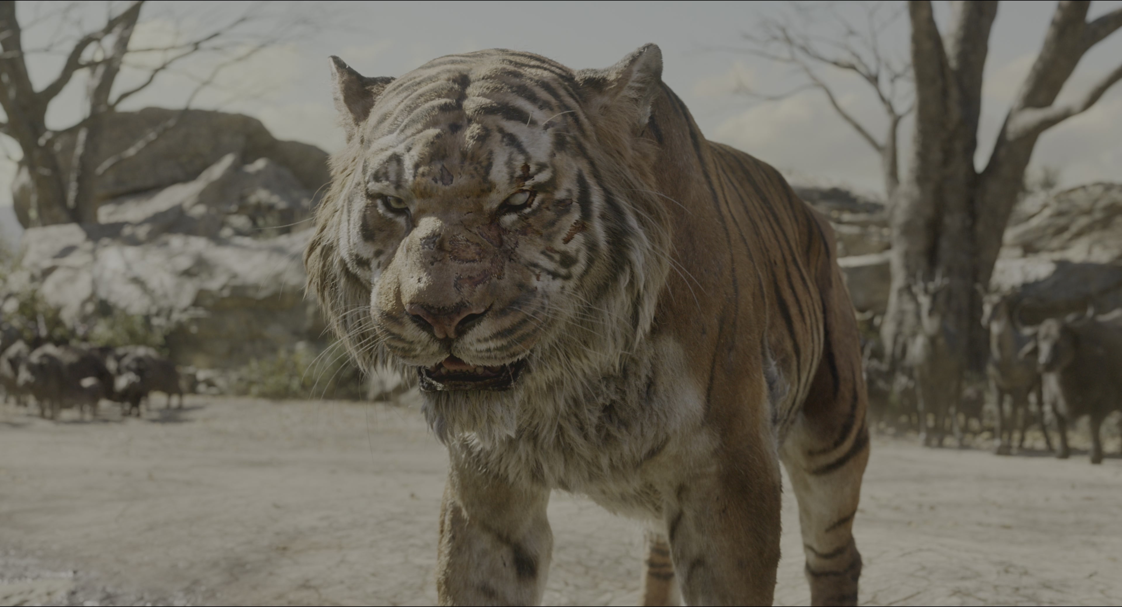 The Jungle Book (2016), wide, 1.85:1 — film still